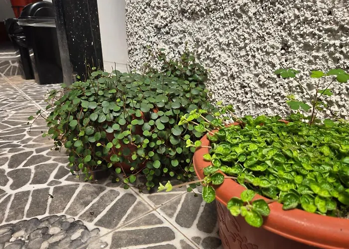 Bed and breakfast Magnolia Andina Cuzco